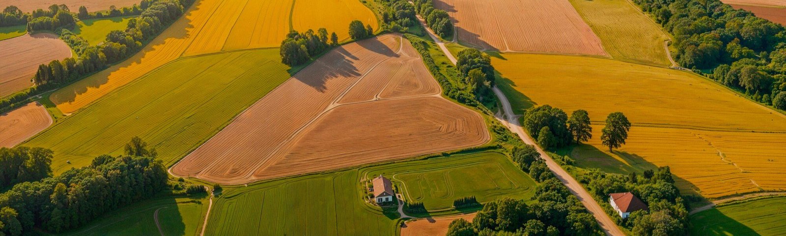 Aerial view of Indian farmland